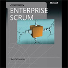 Enterprise and Scrum