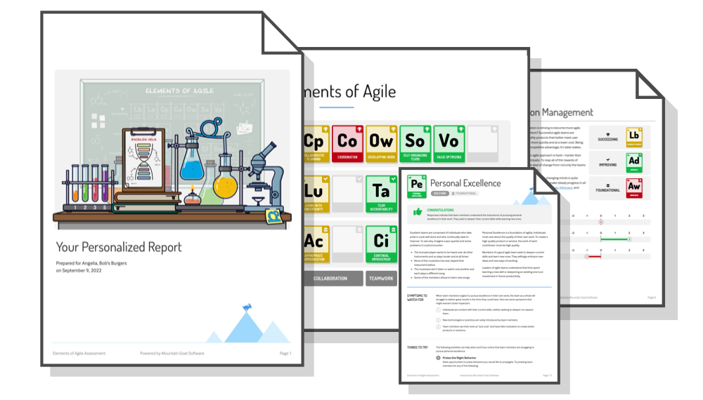 Get Your Customized Elements of Agile℠ Assessment
